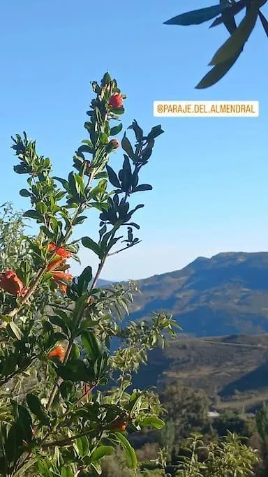 Paraje Del Almendral- Casa Grande Lanjaron 0*,
